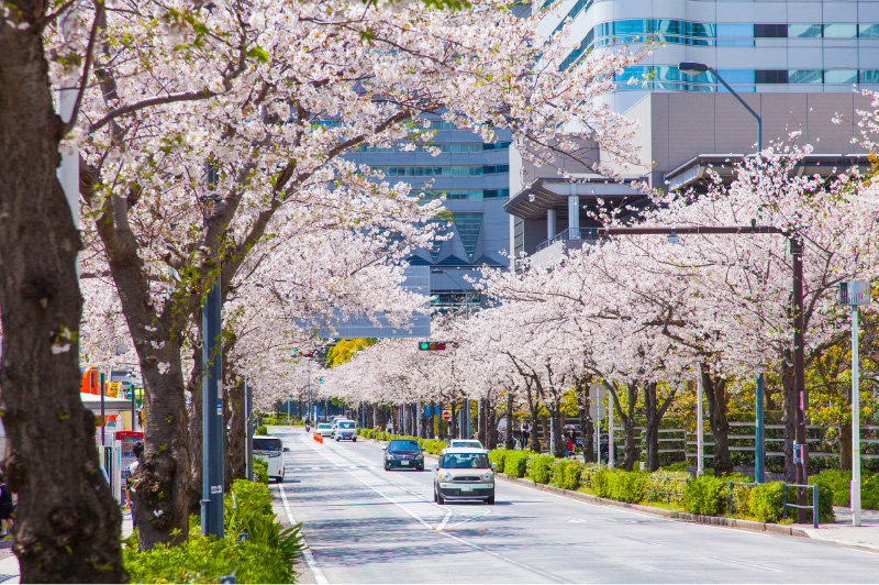 横浜市関内オフィスビルの環境写真、周辺環境の屋外撮影のプレビュー画像