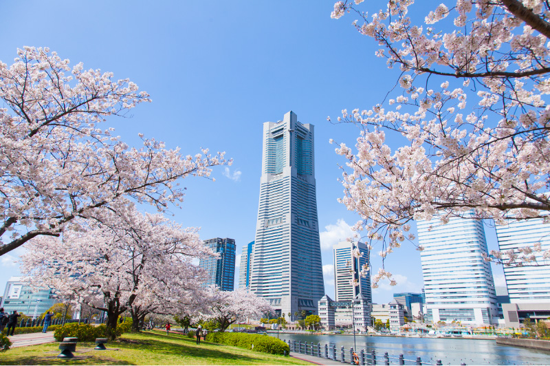 横浜市関内オフィスビルの環境写真、周辺環境の屋外撮影のプレビュー画像