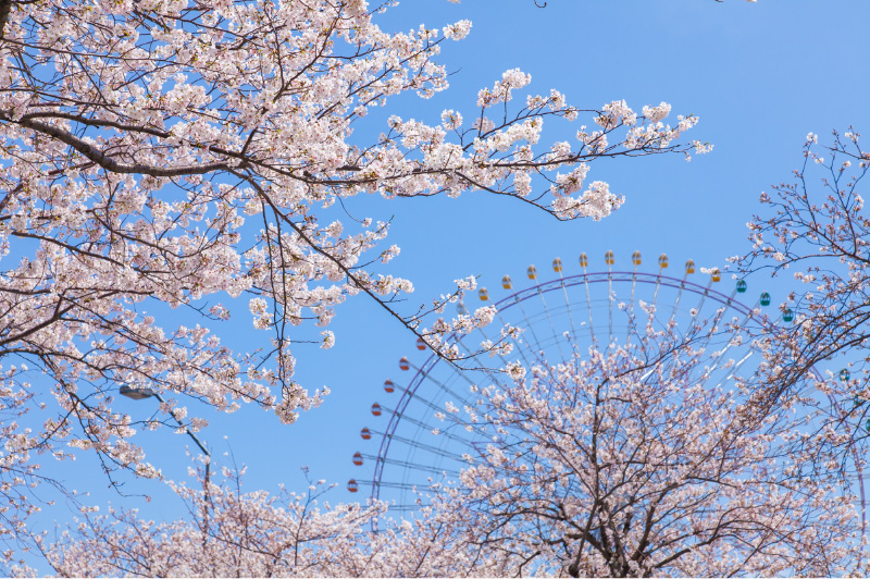 横浜市関内オフィスビルの環境写真、周辺環境の屋外撮影のプレビュー画像